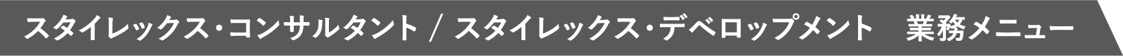 スタイレックス・コンサルタント / スタイレックス・デベロップメント 業務メニュー