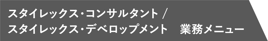 スタイレックス・コンサルタント / スタイレックス・デベロップメント 業務メニュー